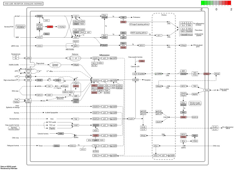 Figure 19