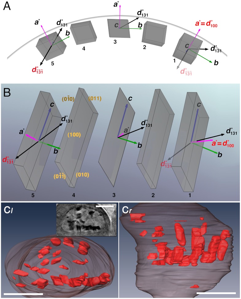 Fig. 3.