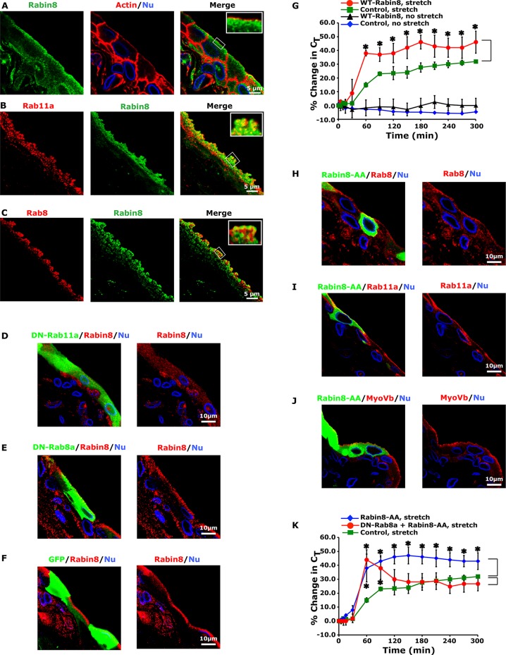 FIGURE 6: