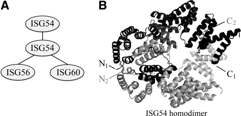 FIG. 3.