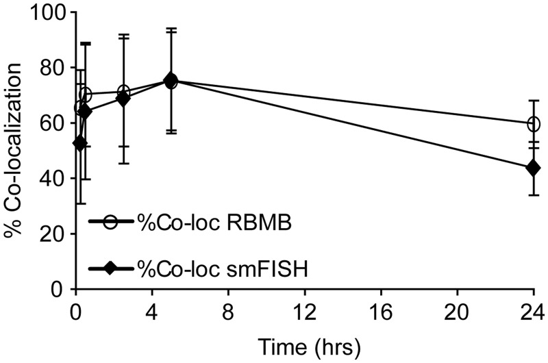 Figure 5.