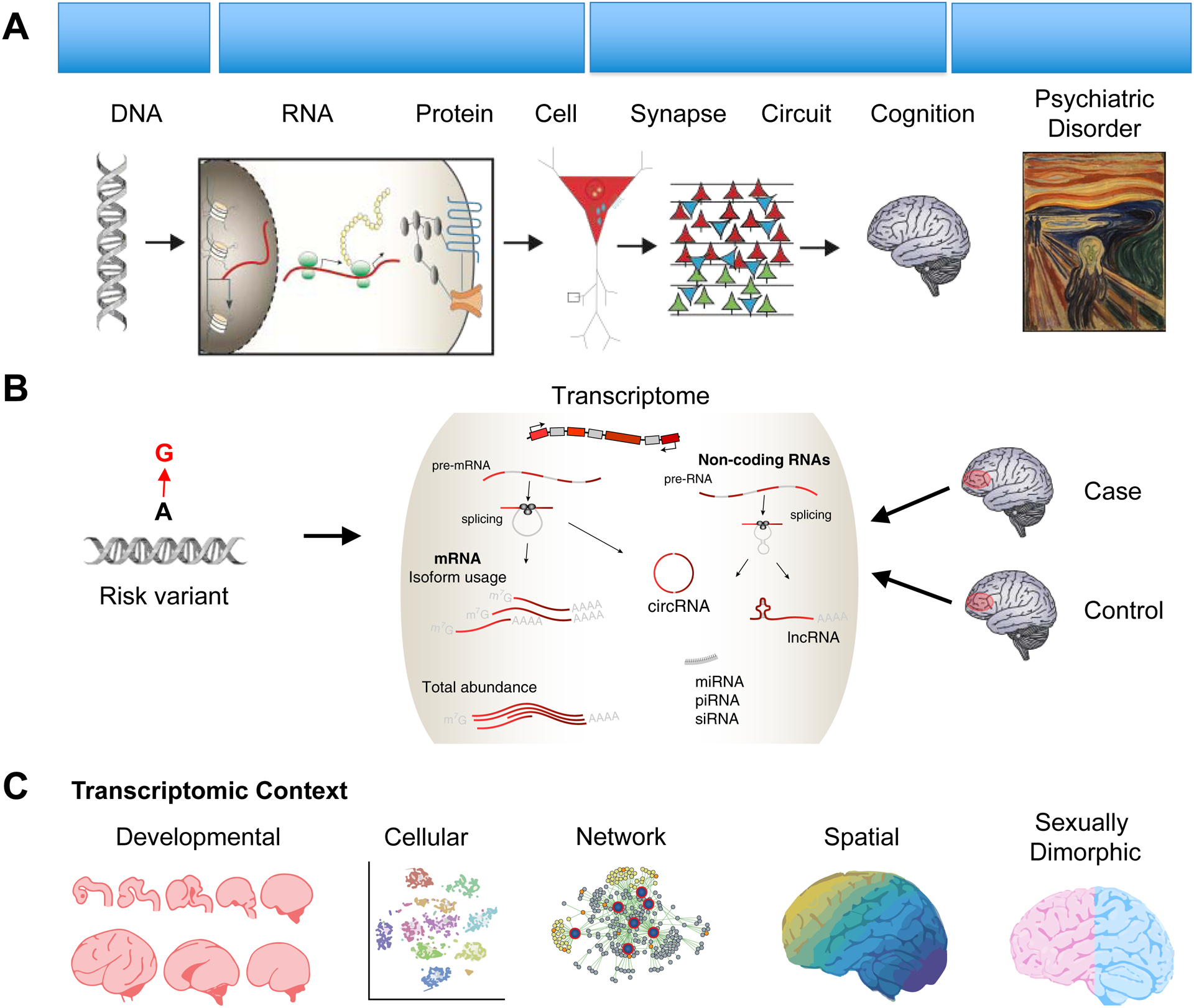 Figure 1 --