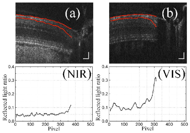 Fig. 7