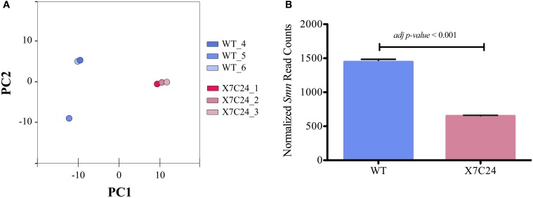 Figure 6