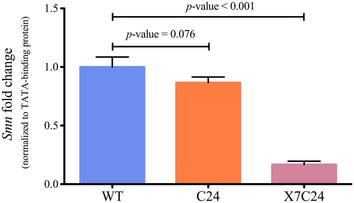 Figure 5