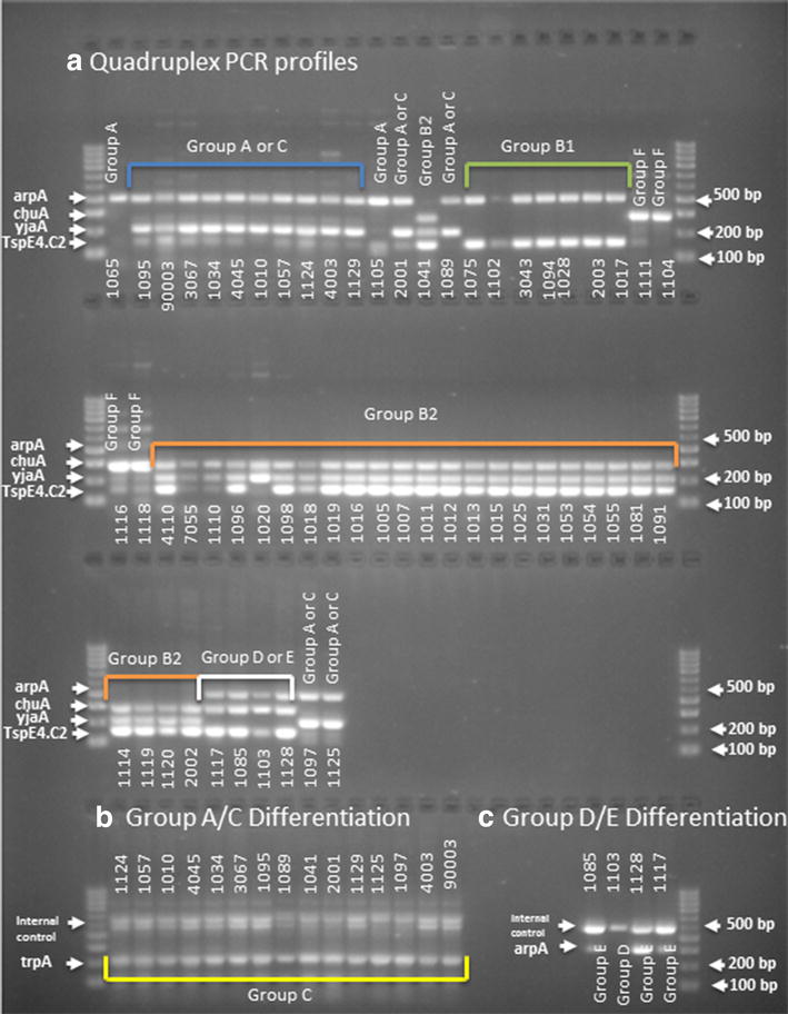 Fig. 3