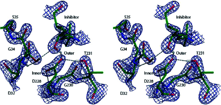 Fig. 10