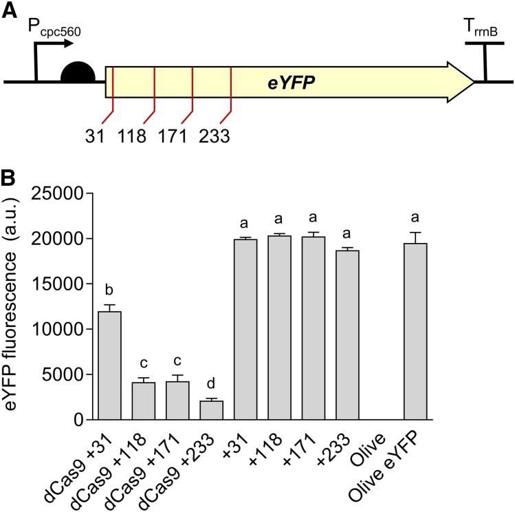 Figure 9.