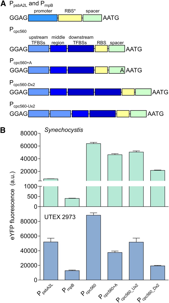 Figure 5.