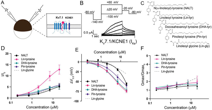 Fig. 1 –