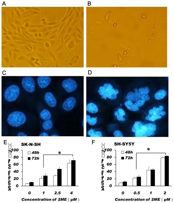 Fig.2