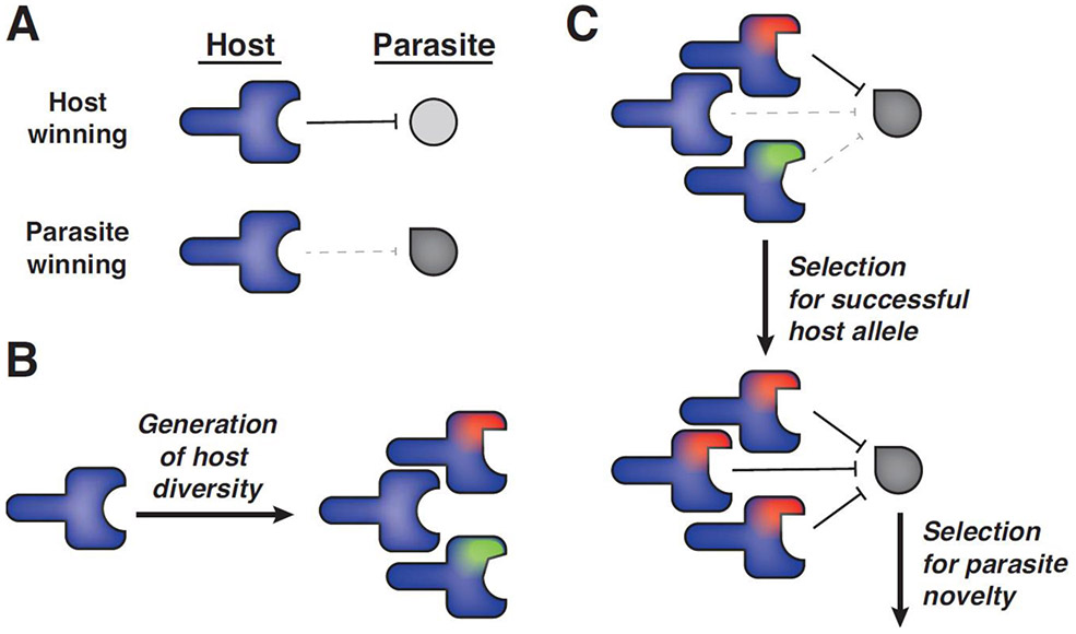 Figure 1: