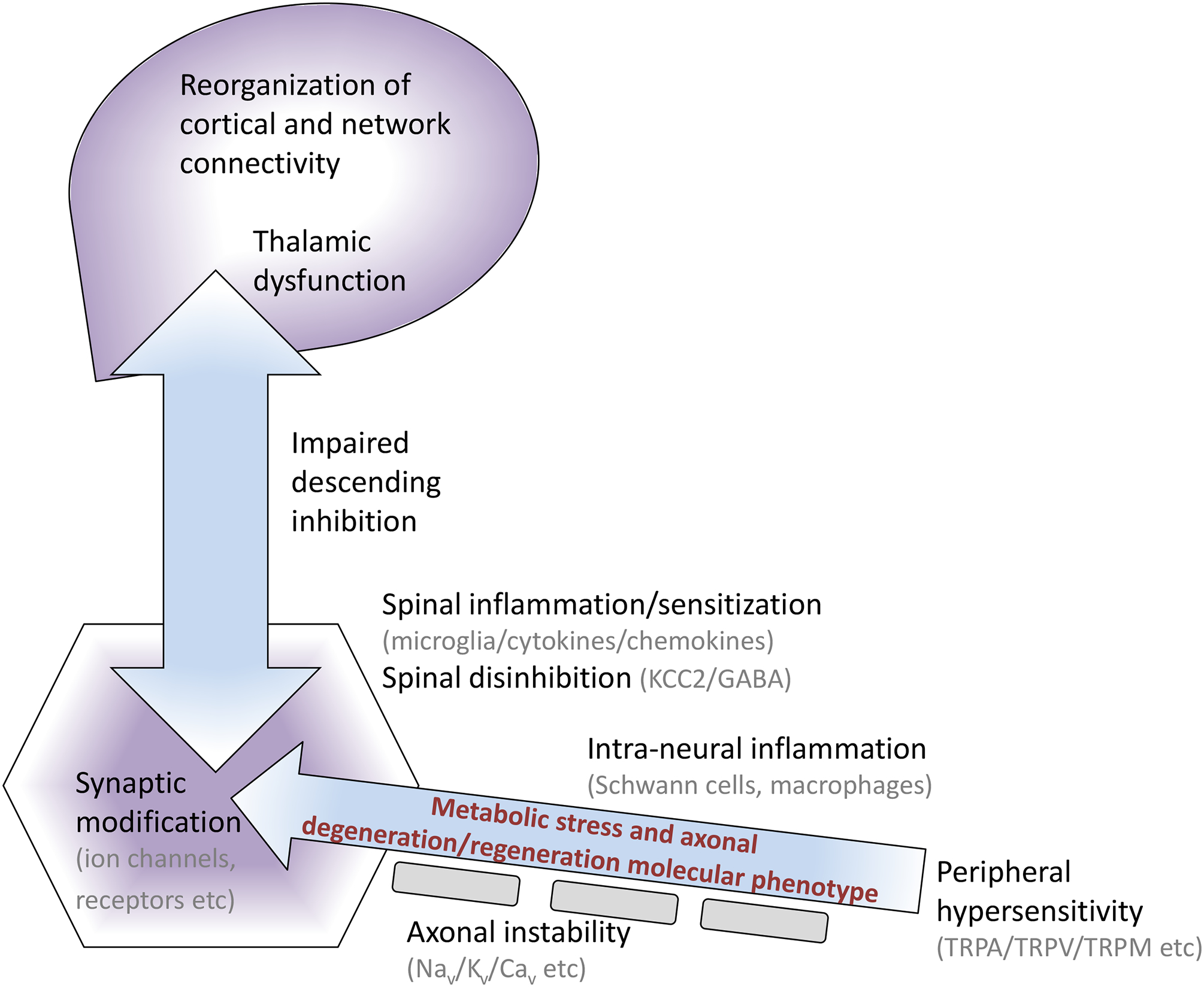 Figure 4: