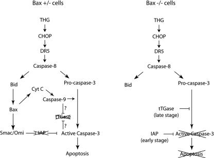 FIG. 8.