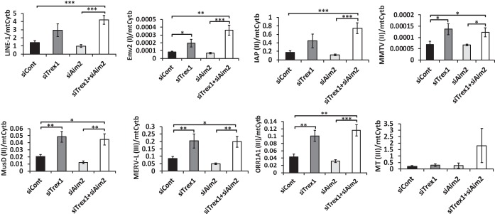 FIG 3 