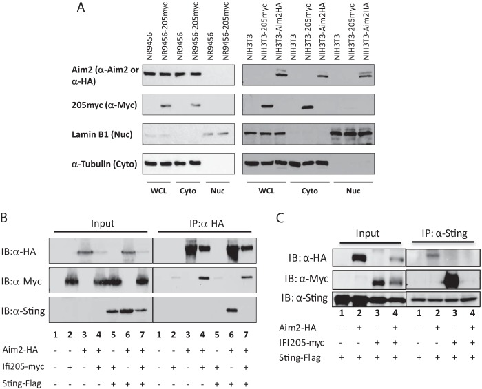 FIG 6 