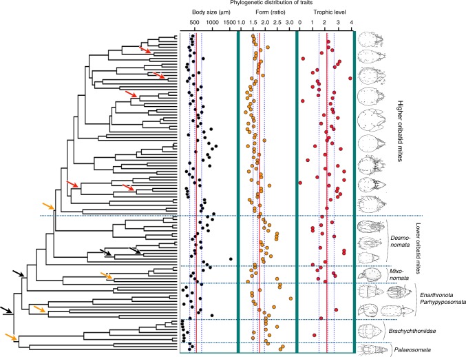 Fig. 3