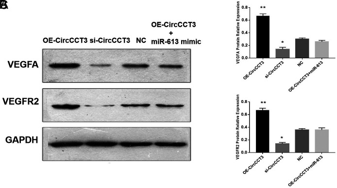 FIG. 7.