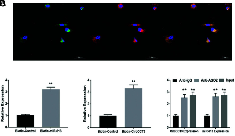 FIG. 6.