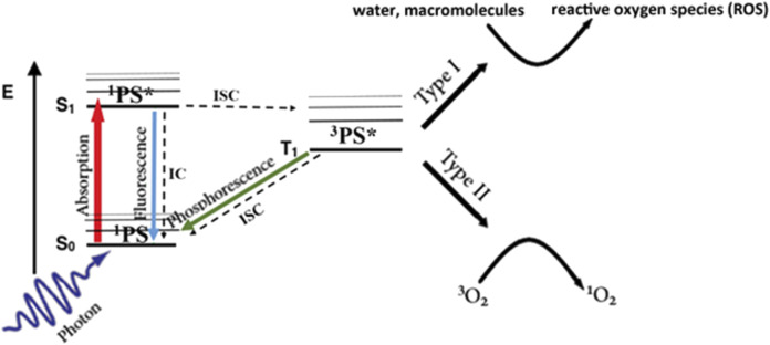 FIGURE 1