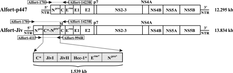 FIG. 1.