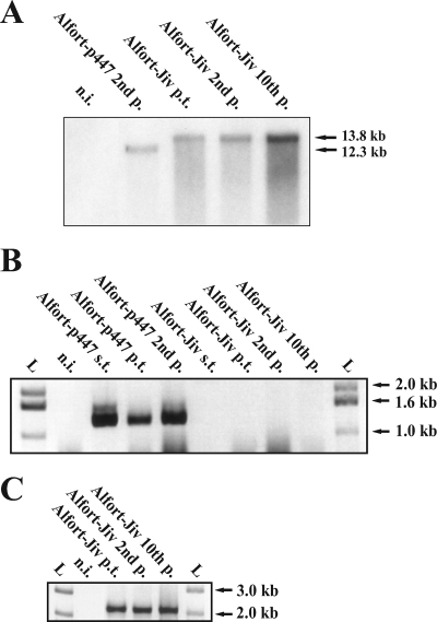 FIG. 3.