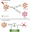 <b>FIG. 1.</b>