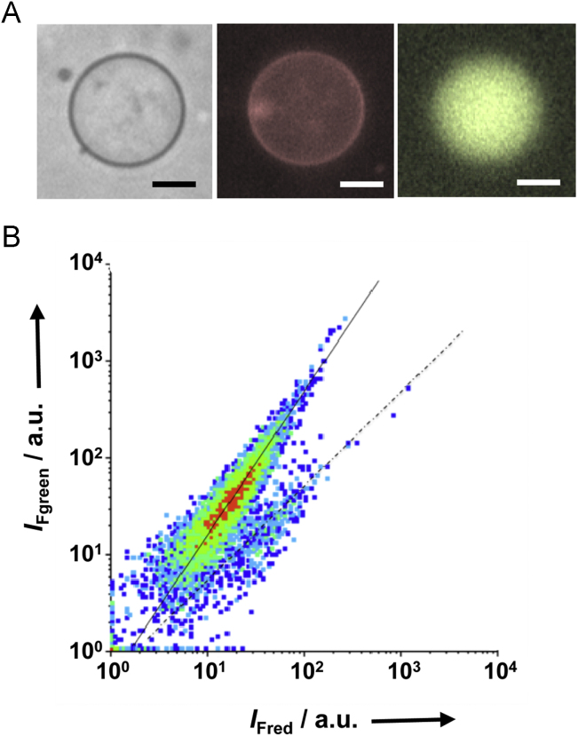 Fig. 4