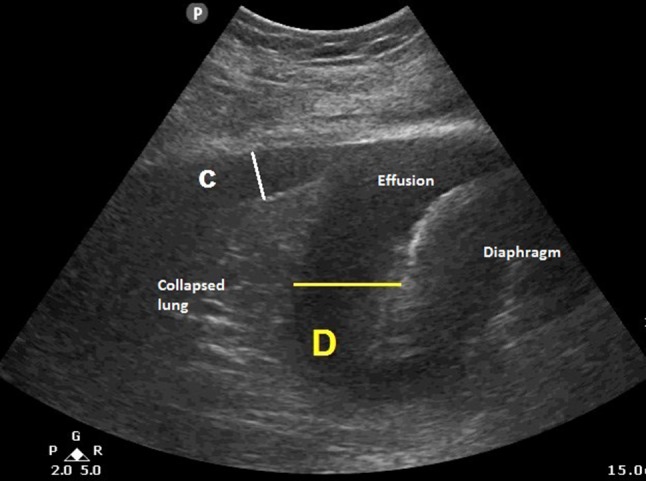 Fig. 2