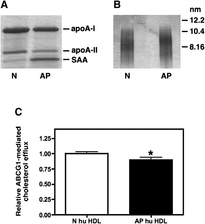 Fig. 6.