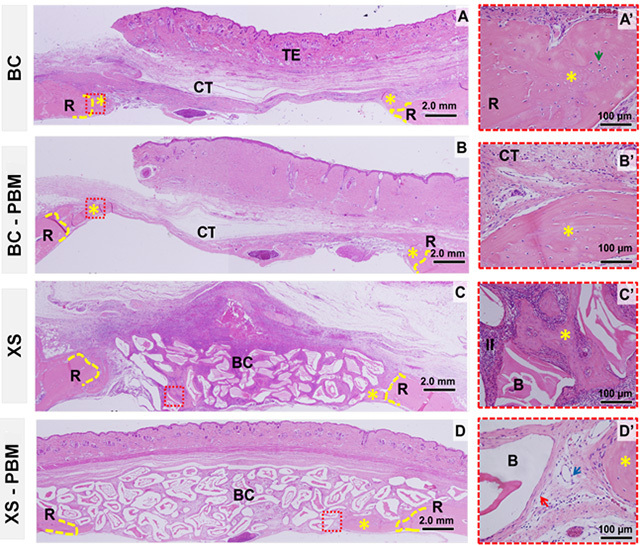 Figure 6.