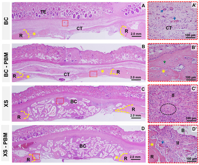 Figure 5.