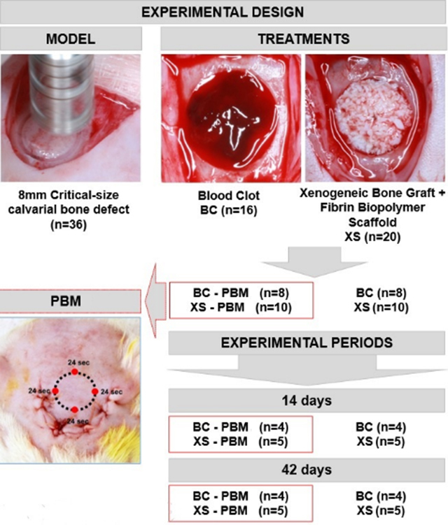 Figure 2.