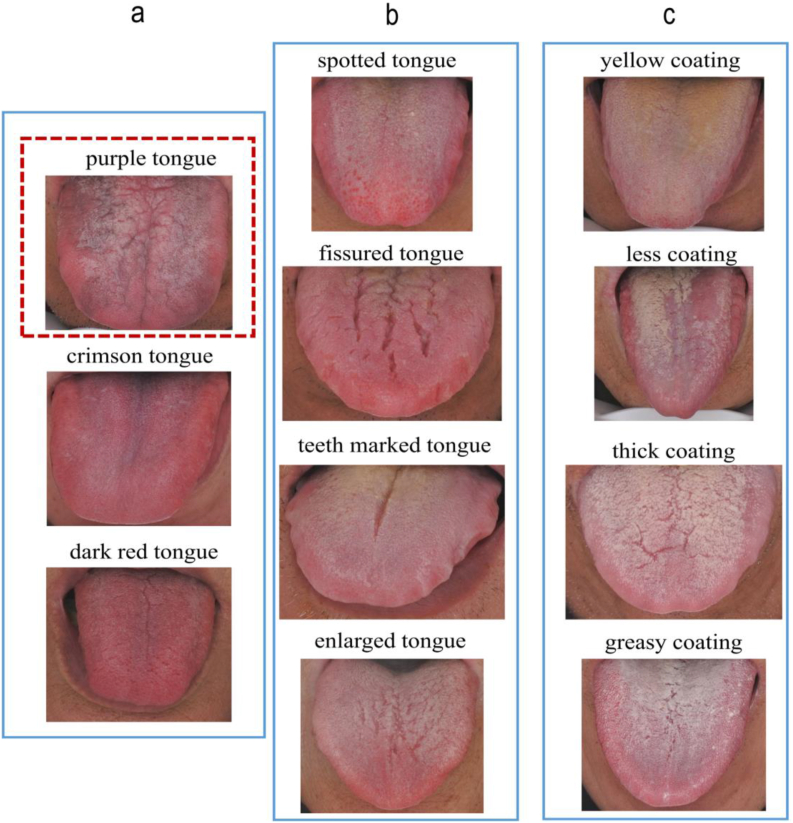 Fig. 6