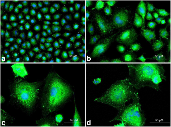 Figure 17