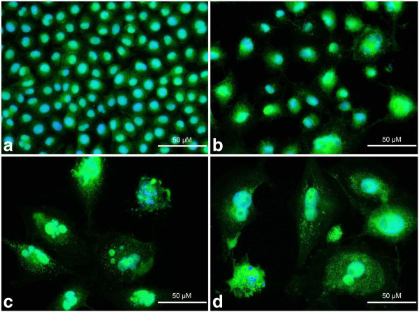 Figure 16