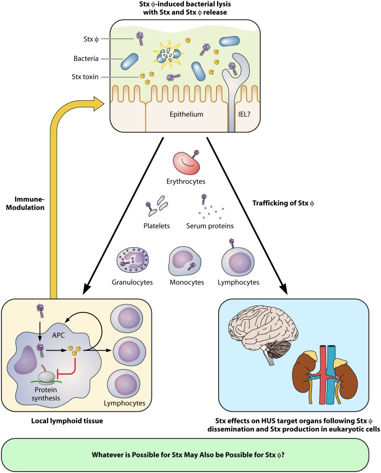 FIG 1 