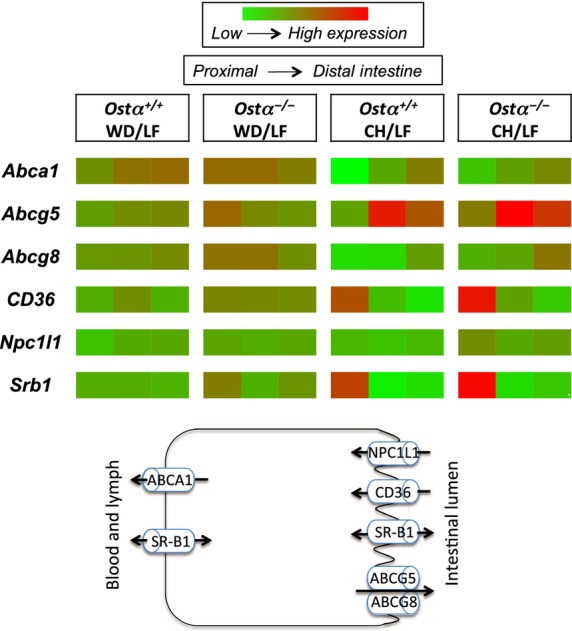 Figure 4.