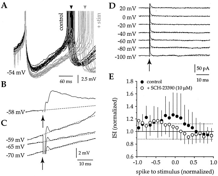 Fig. 10.