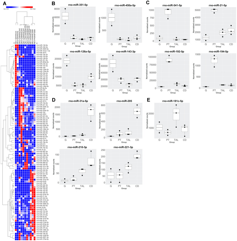 Figure 7.