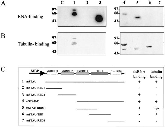 FIG. 6