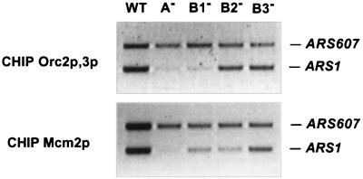 FIG. 8