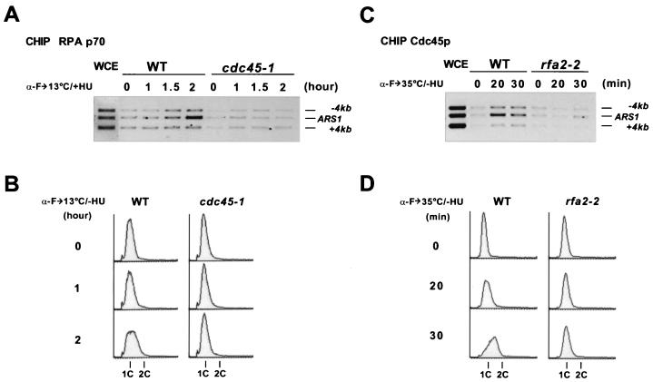 FIG. 6