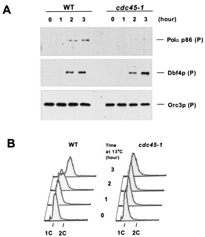 FIG. 7