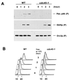 FIG. 7