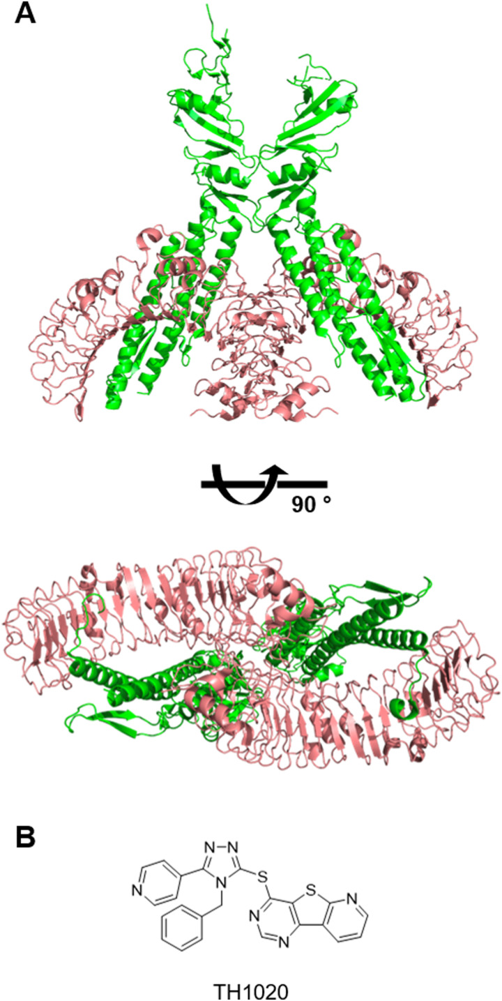 Fig. 4