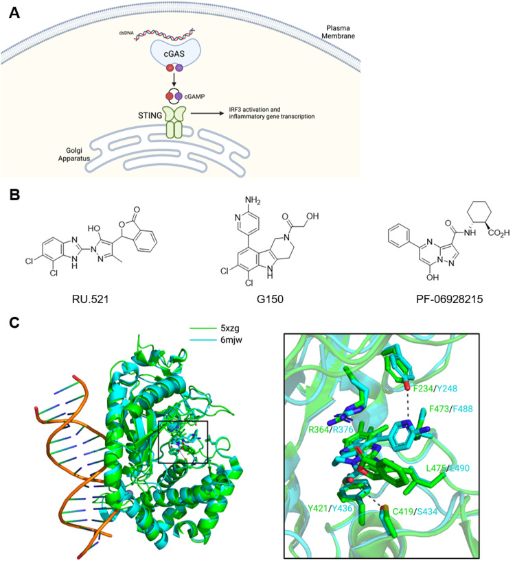 Fig. 9