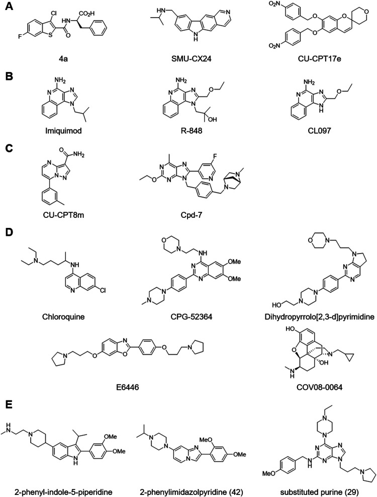 Fig. 5