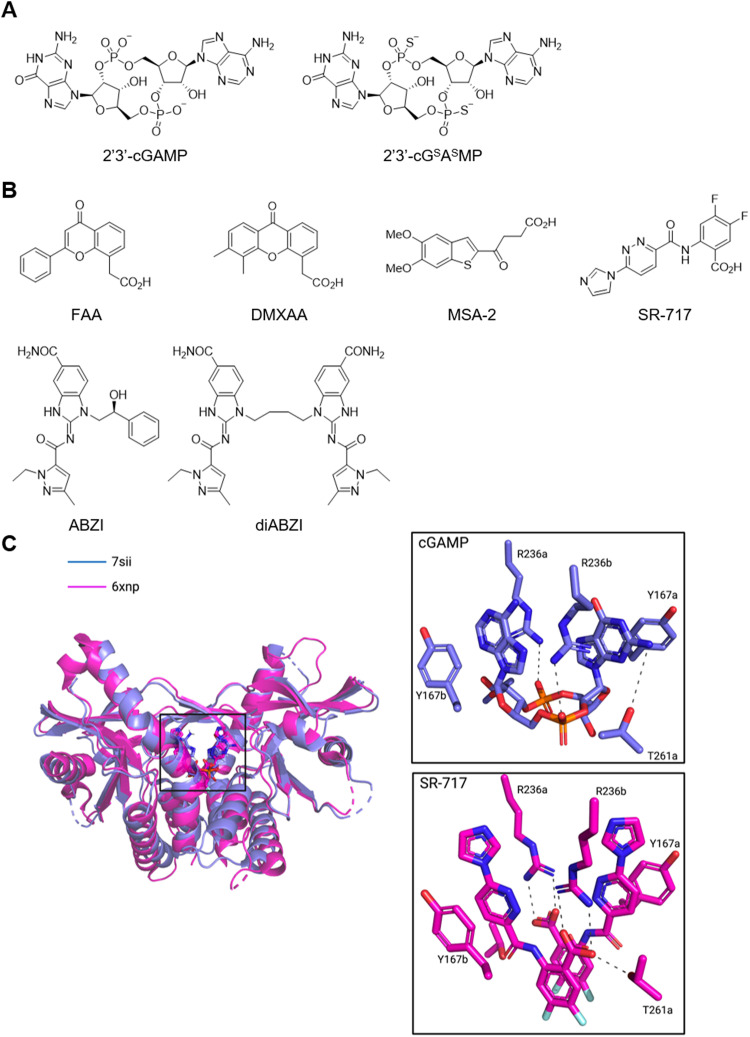 Fig. 10