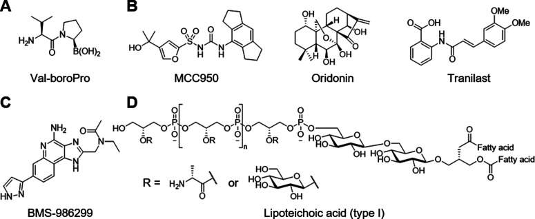 Fig. 8